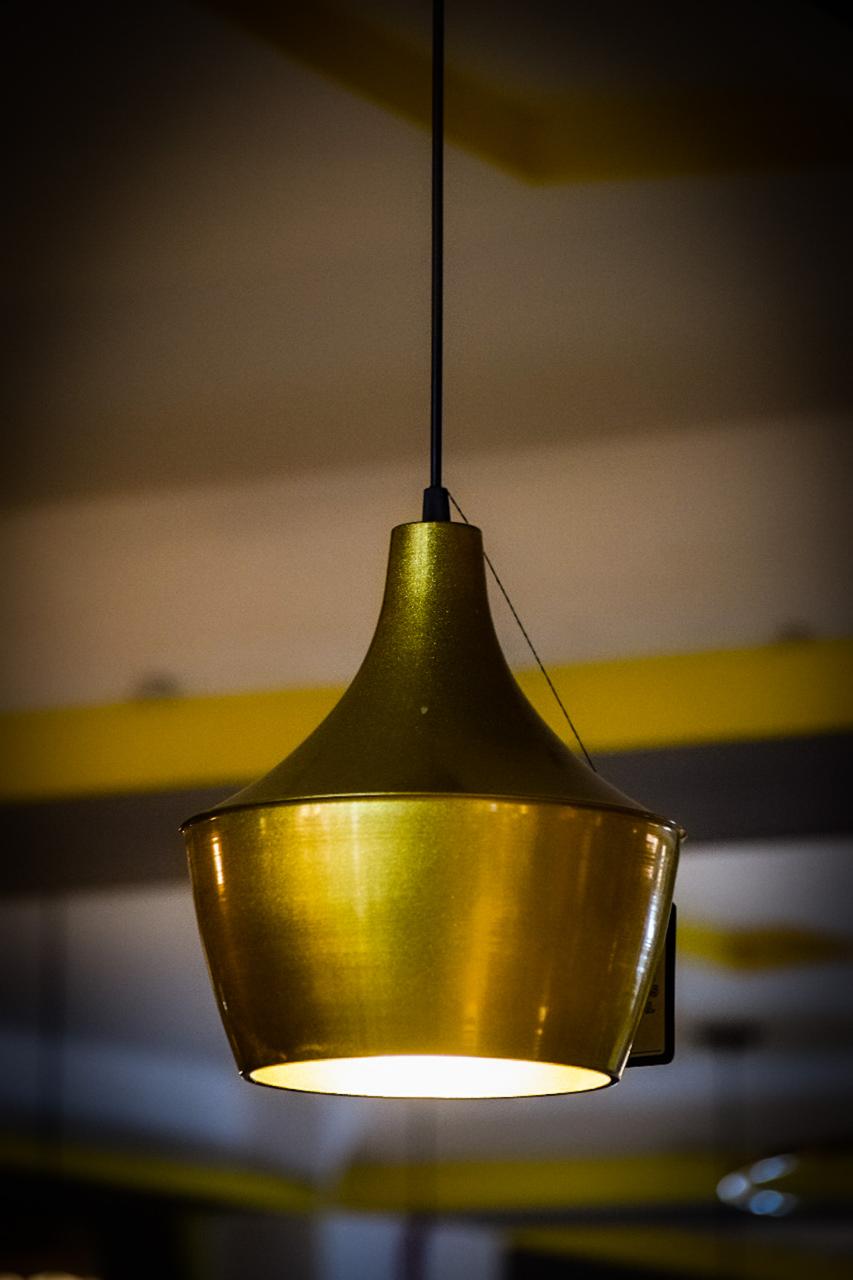 Curved Metalic Hanging Light