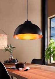 Hanging Lamp Ceiling Light