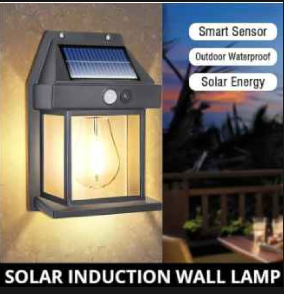 Solar Induction Wall Lamp